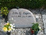 Lille-Ej Logan.JPG